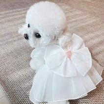 애완 동물 원사 강아지 치마 테디 보메이 여름 옷 비숑 스웨터 단색 개 고귀한 공주 드레스 웨딩, 01 White_03 M