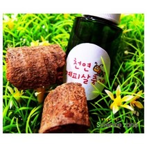 과학키트 천연계피살충제 5인용 1207, 상세페이지 참조, 상세페이지 참조