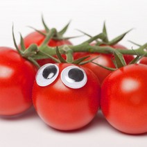 방울토마토피아 국내산 대추 방울토마토 5kg, 대추 방울토마토 5kg 4번, 1개