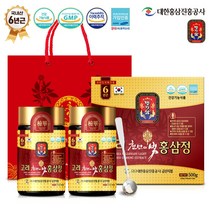 대한홍삼진흥공사 고려천년의빛 홍삼정 + 쇼핑백, 250g, 2개입
