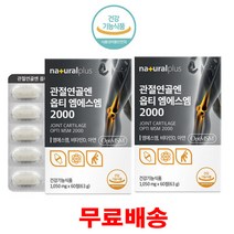 플러스 관절연골앤옵티엠에스엠2000 60정2박스, 2박스, 관절연골앤옵티엠에스엠2000 60정
