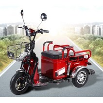 세창 전동삼륜차 E-100 삼륜 오토바이 전기차 전동차 농어업용기계 농기계, 경남부산울산, 직접배송