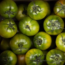 첫 출하 부산 대저 찰 토마토 (당일배송), 2.5kg 로얄과(M,S,2S), 1개