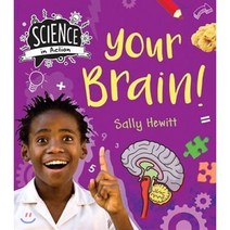 Science in Action: Human Body - Your Brains, QED Publishing