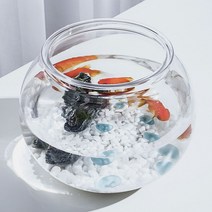 플라스틱 둥근 어항 원형 18X16cm 구피 베타 키우기 2049138EA, 본상품선택
