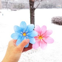 노루귀카드(2color) 하늘