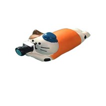 최신 3D 사진 고양이 DSLR 카메라 손전등 핫 슈 커버 캐논 호환 니콘 후지 삼성 Leica 소니 호환Olympu LUMIX mirrorless, [01] 하늘색