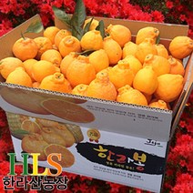 한라산농장 노지 한라봉 5KG 랜덤(소중/중/대)1종발송 홍보용 -불만시 무료반품-