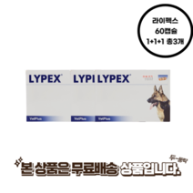 라이펙스 60캡슐 췌장효소 보충제 1+1+1 총3개, 라이펙스  60캡슐 1+1+1 총3개