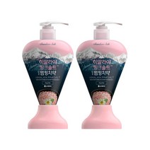 죽염 히말라야 핑크솔트 펌핑치약 플로럴 285g x 2개, 핑크솔트 플로럴 285g 2개