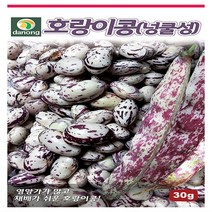 호랑이콩 씨앗(넝쿨성)(30g)