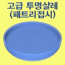 고급 투명 샬레(패트리 접시)-1세트