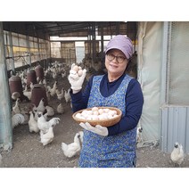 무항생제 산지직송 자연방사 백봉오골계 초란 20알