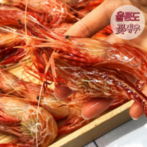 울릉도 독도 활 꽃새우 500g 단새우 생새우회 생물