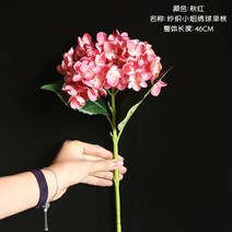 센픽 조화 버터플라이꽃 갈대 양귀비 수국 미니 꽃다발 국화 140 동백꽃 자작나무가지, 가을 빨강