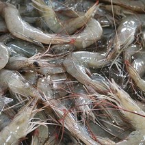아이엠푸드몰 민물새우400g 3팩, 400