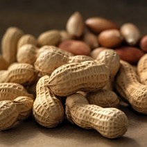 23년 햇땅콩 생땅콩 피땅콩 국산땅콩 햇피땅콩 500G 1KG, 1개