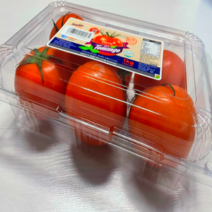 [토망고] 스테비아 완숙 찰 토마토 1kg 샤인마토 GAP인증 완숙 토마토 찰토마토 대추토마토 대저토마토짭잘이 대추방울토마토 과일 대추토마토 대저, 스테비아 토마토 1kg X 4개