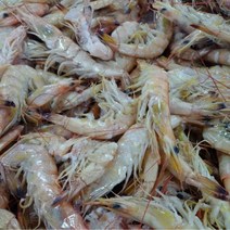 명품광천토굴새우젓 중하젓 김장용중하젓, 1병, 4kg