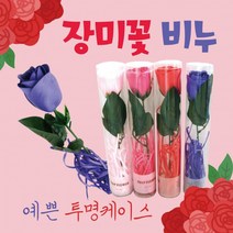 장미꽃 장미비누꽃 카네이션비누꽃 장미 로즈데이 어버이날 스승의날, 빈칸2