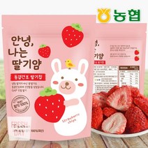 [농협] 생딸기그대로 동결건조 딸기칩 나는딸기얌 10봉×12g, 단품