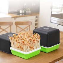 [624C]새싹 땅콩 콩나물 키우기 기르기 수경 재배기★포장훼손반품불가★, ★단일상품