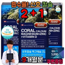 마그네슘칼슘디 임산부 칼슘제 임몸 잇몸 내려앉음 이시릴때 영양제