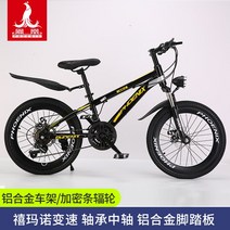 새로운 피닉스 브랜드 어린이 산악 자전거 소년 소녀 학생 가변 속도 디스크 브레이크 충격 흡수 알루미늄 합금 초경량, 차량 전체에 멋진 금  알루미늄 프레임  21단 스포크, 22인치