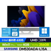 삼성전자 올인원PC DM530ADA-L15A 사무용 인강용 가정용 가성비 일체형PC (셀러론/UHD그래픽/윈도우11 Pro), 256GB, 4GB, 윈도우 포함