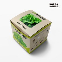 상추 키우기세트