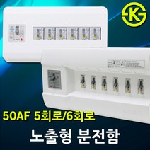 노출형 분전반 분전함 5회로 6회로 차단기함 배전함 배전반 완전조립형 누전차단기 배선차단기 5분기 6분기 30AF 50AF 노출혈분전함 차단기 국산 전기 차단기포함 3회로 4회로, 04. 상도전기 노출형 분전함 6회로