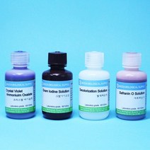그람염색시약 SET / 60ml*4종