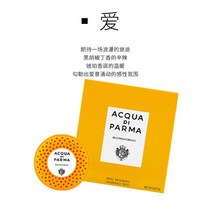 차량용에어컨 냉방기AcquaDi 자동차 아로마 테라피 향수 공기 배출구 파마 워터 달빛 블루 모닝, 05 GRAY