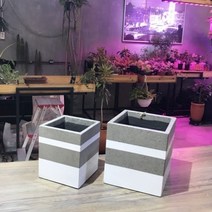 QWC3226752개셋트.테라스톤팟 화이트 정사각 화분, 본상품