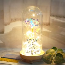 발트728 문구제작 홀로그램장미 기념일 선물 LED유리돔 글라스돔, 작은아이/홀로그램장미/별도문구제작(폰트2)