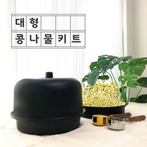 감성편의점 집에서 콩나물 키우기 재배기 키트 대형 가정용 어린이, 1) 대형키트(체험콩+설명서)