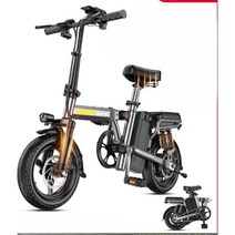 TDT108Z 접이식 전기자전거 미니벨로 배터리 탈착, 48V, Q.30A순수전기약120km주파수변환대형모터