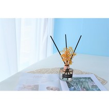 프래이그런트 프리저브드 디퓨저 100ml, 화이트코코넛