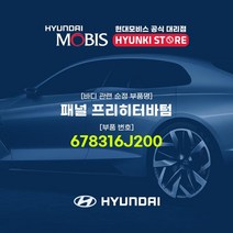 현대모비스 패널 프리히터바텀 (678316J200), 1개