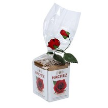 Hachez 하세스 파인 홀 밀크 로즈 타블렛 75g x4팩