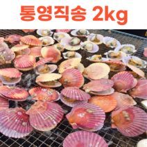 통영 고성 홍가리비 노란가리비 4kg 최상급 통영직송 당일채취