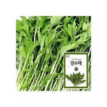 경수채 15g
