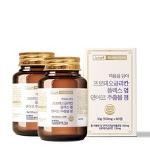 스캇나인 프로테오글리칸 연어코 연골 추출물 콘드로이친 글루코사민 60정, 2개