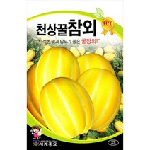 천상꿀 참외 씨앗 채소 종자 과일 씨 melon seed 30알