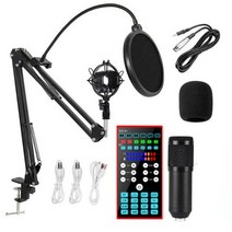 콘덴서 마이크 sound card studio bm 800 무선 노래방 tiktok youtube 녹음 라이브 방송 음성 체인저 믹서, a1 bm800