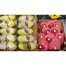 두가지 망고 3.6kg (애플망고1.6kg + 골드망고2kg) 세트, 애플망고 1.6kg+골드망고2kg