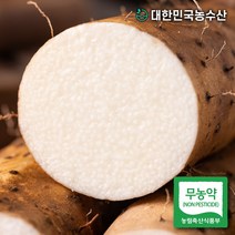 대한민국농수산 국내산 마 2kg, 3. 무농약 진주 장마 (특품) 2kg