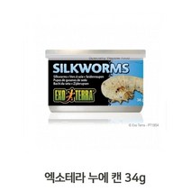 셀럽하우스 소동물 양서류 파충류 누에캔 34g 실크웜 번데기 사료, 기본상품