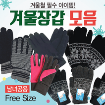 겨울장갑 [방한장갑모음] 겨울장갑/겨울방한장갑/스키장갑/방한장갑/보드장갑/방한용품/겨울장갑/터치장갑, 스마트폰 스포츠장갑(스카이)