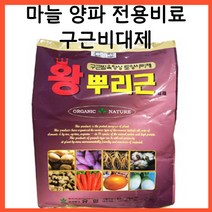 왕뿌리근 복합비료 구근비대제 마늘비료 양파비료 2kg 마늘전용비료 양파전용비료, 왕뿌리근 2kg 1포